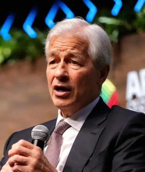 Jamie Dimon government critique