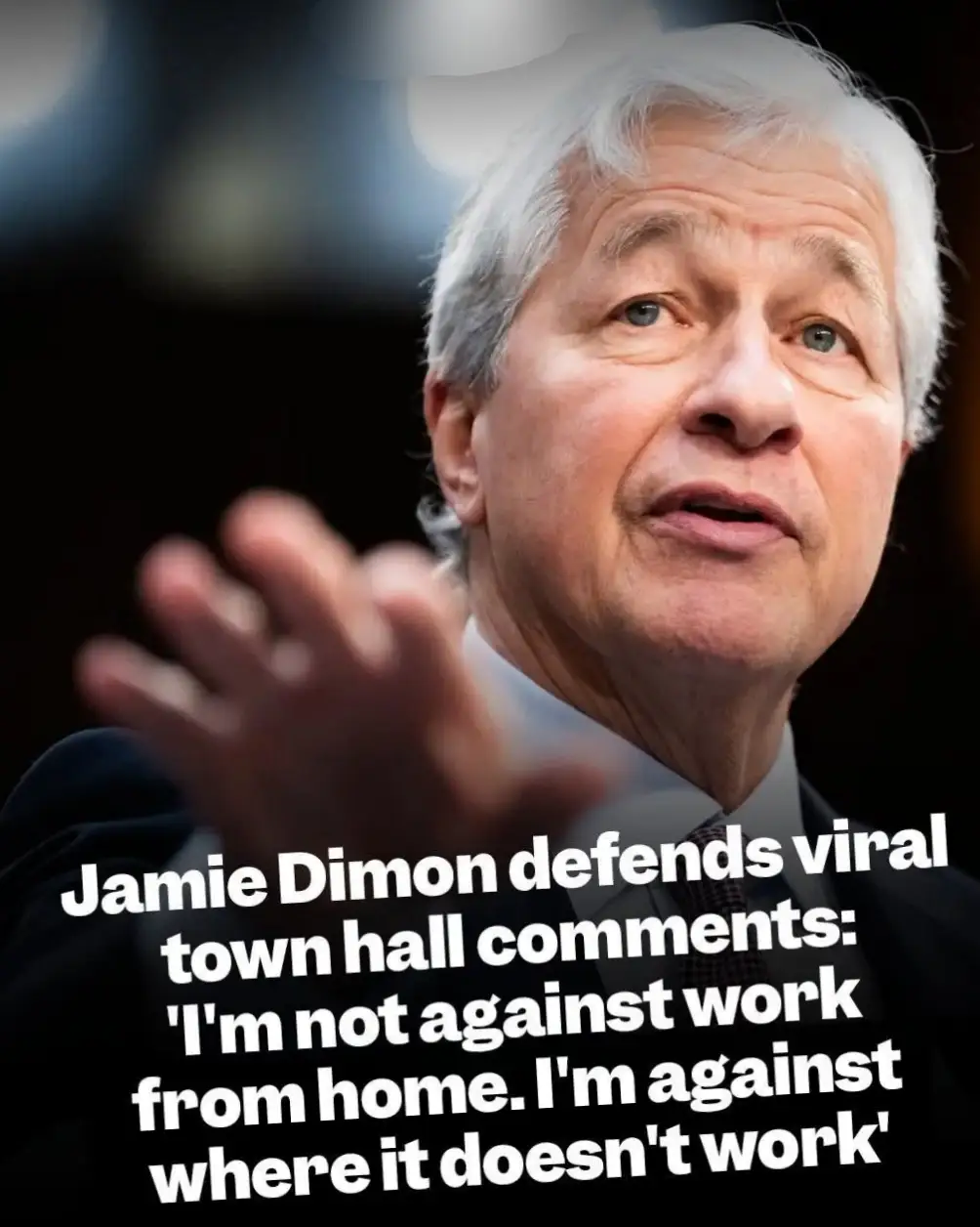 Jamie Dimon government critique