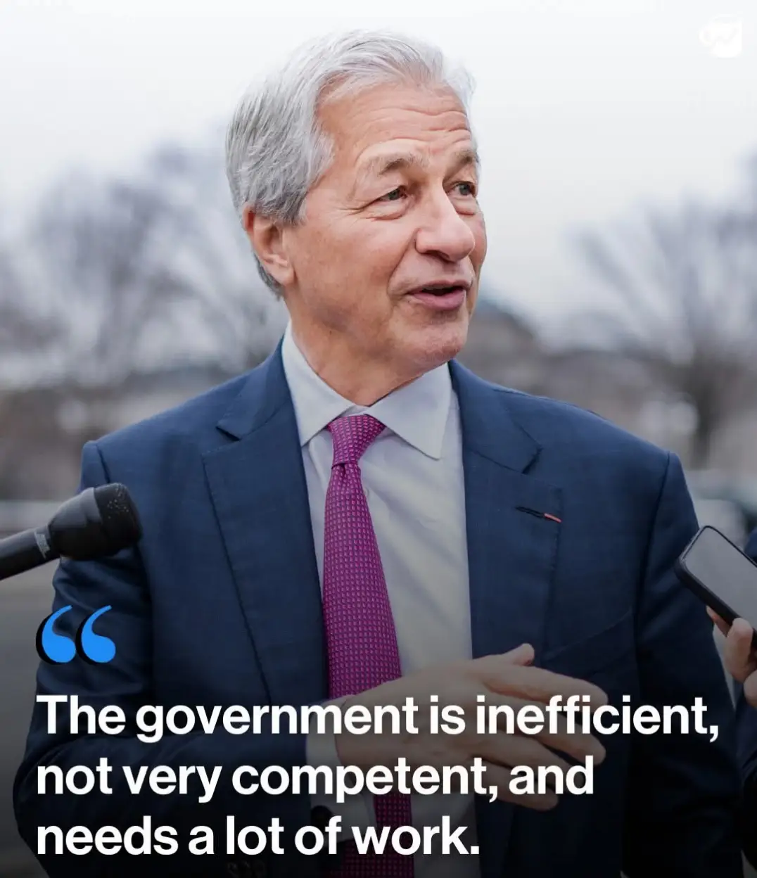 Jamie Dimon government critique